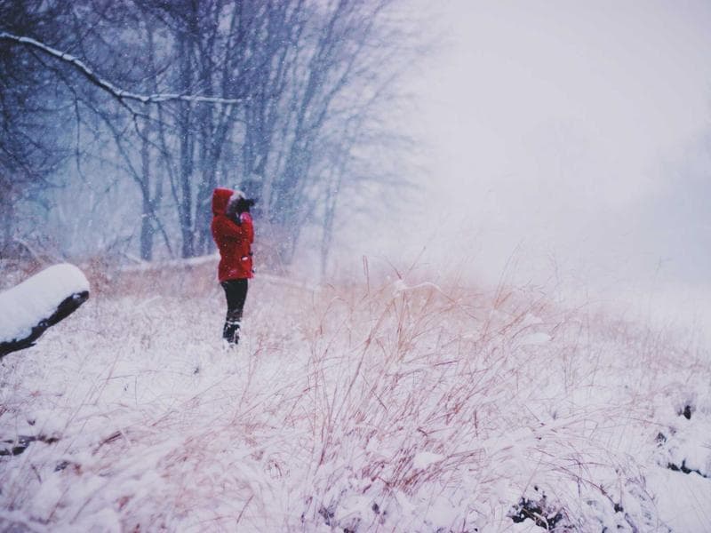 Surgical Instruments - Prowin Services