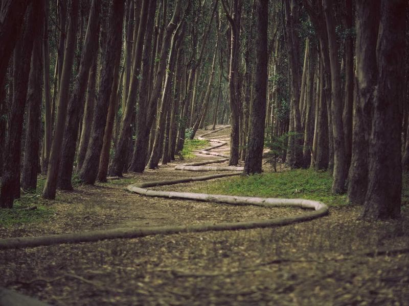 Cricket Bat Dotted Grip