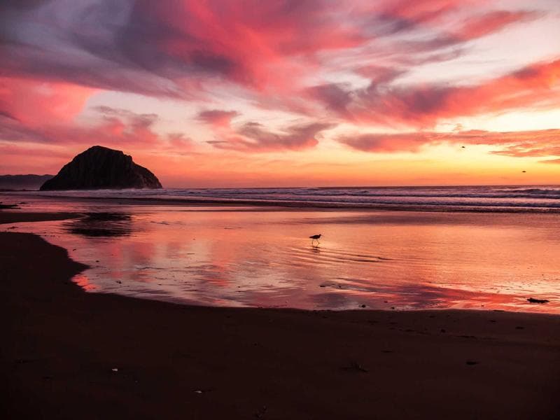 Silver Plated Handmade Wrist Bangle, Size: 15 Inch