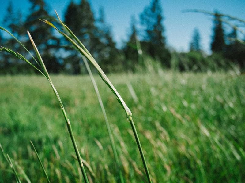 MIG-400 MIG Welding Machine, 400A, Phase: Single Phase