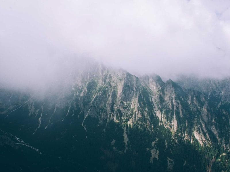Printed Gift Wrapping Paper, 60 GSM, 50