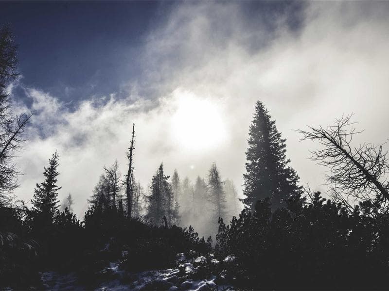 Telecom Towers & Infrastructure - Ligs Informatics