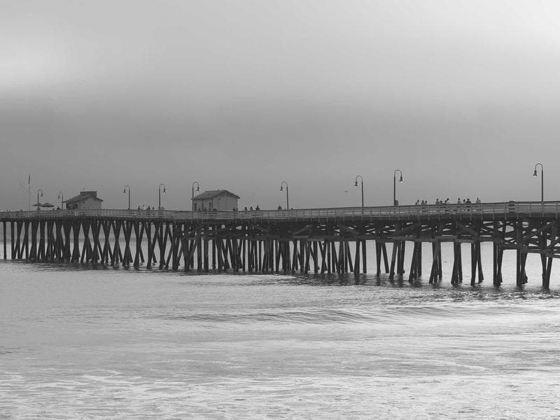 Power Trowel Honda GX160 Engine 1000mm
