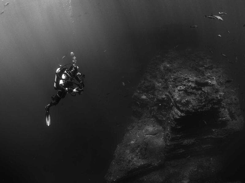 12 mm TMT Steel Bar, For Infrastructure, Grade: Fe 550