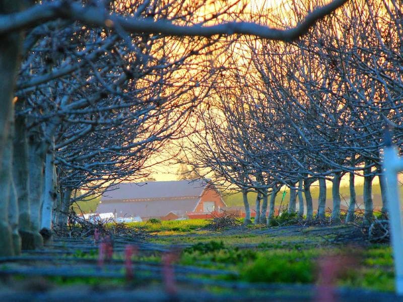 Lock And Lock Plastic Containers 700 ML