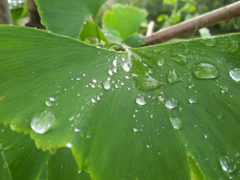 Best quality cement, Type: PPC, 53 Grade