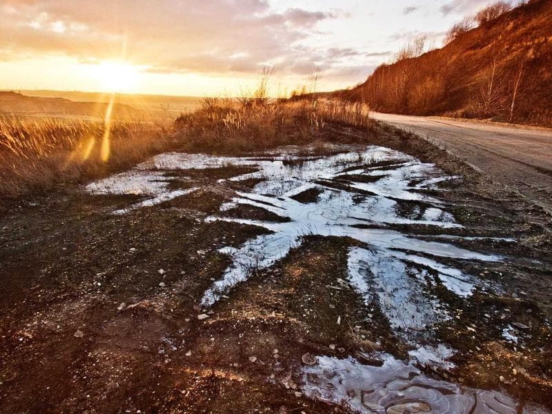 Musical Doll Soft Toy, For Gifting