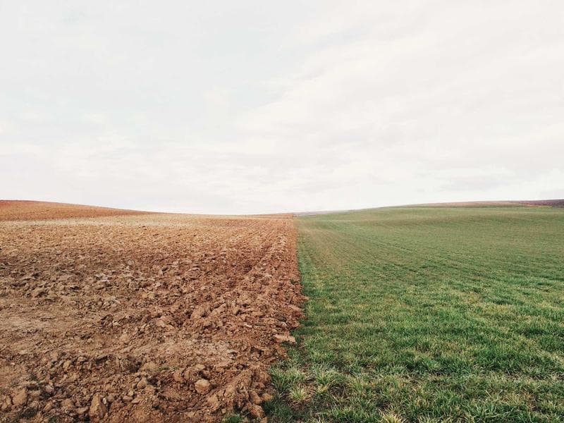 Grain Storage Silo, Storage Capacity: 200 ton