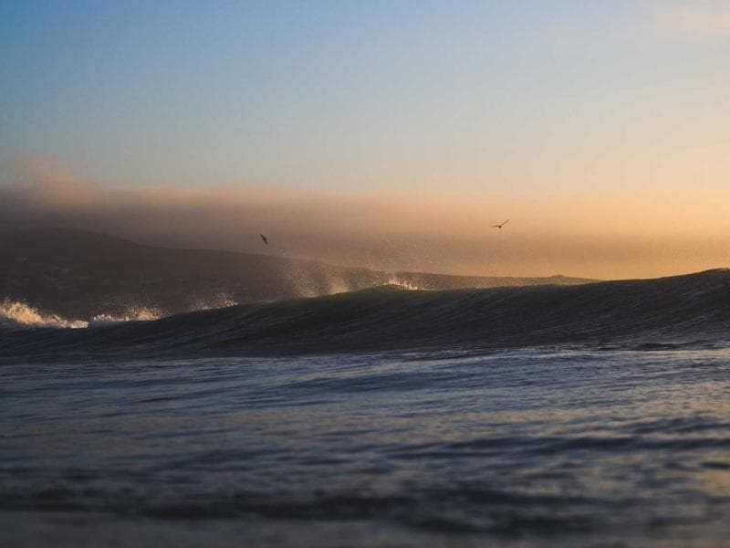 Butterfly Jigsaw Puzzle