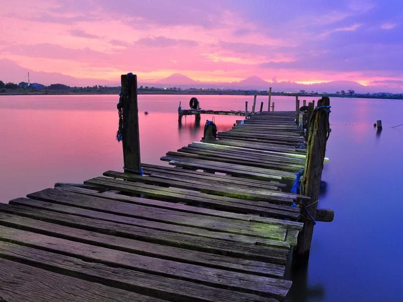 Metal Wire Mesh - Wiremesh Weaving Indust
