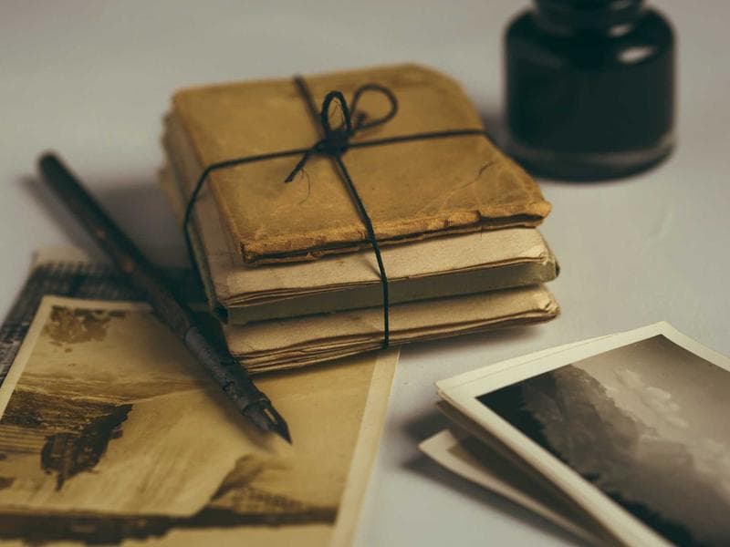 Dog & Cat Food - Vitasphere Exports