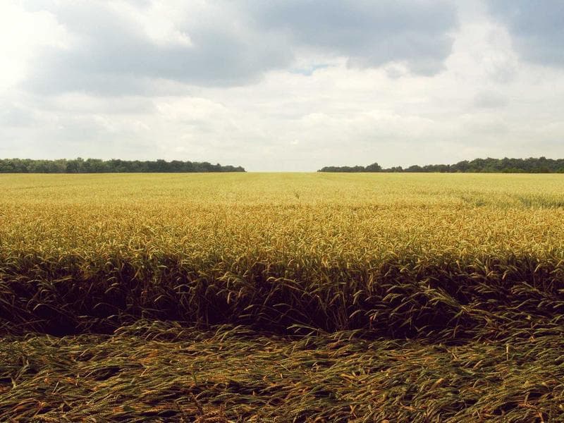 Grey And White Paper Board (1 mm, 660 GSM)