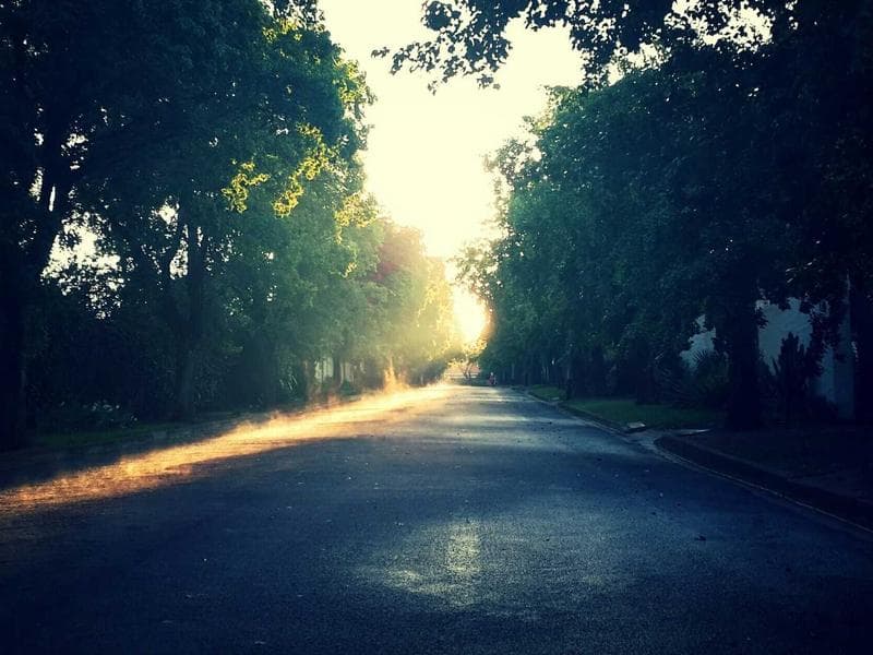 Jute Cotton Bag