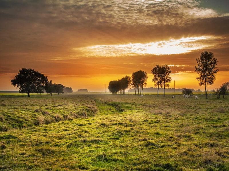 Measuring Instruments - Shiv Enterprises