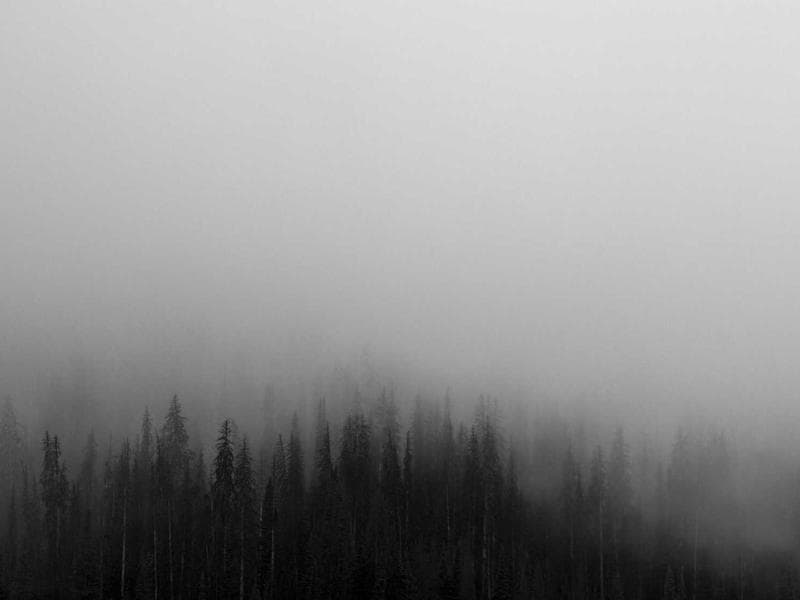 Air Pollution Control Service