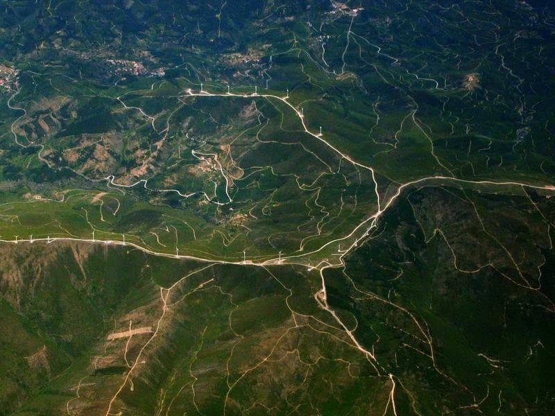 LDPE Black Polythene bag